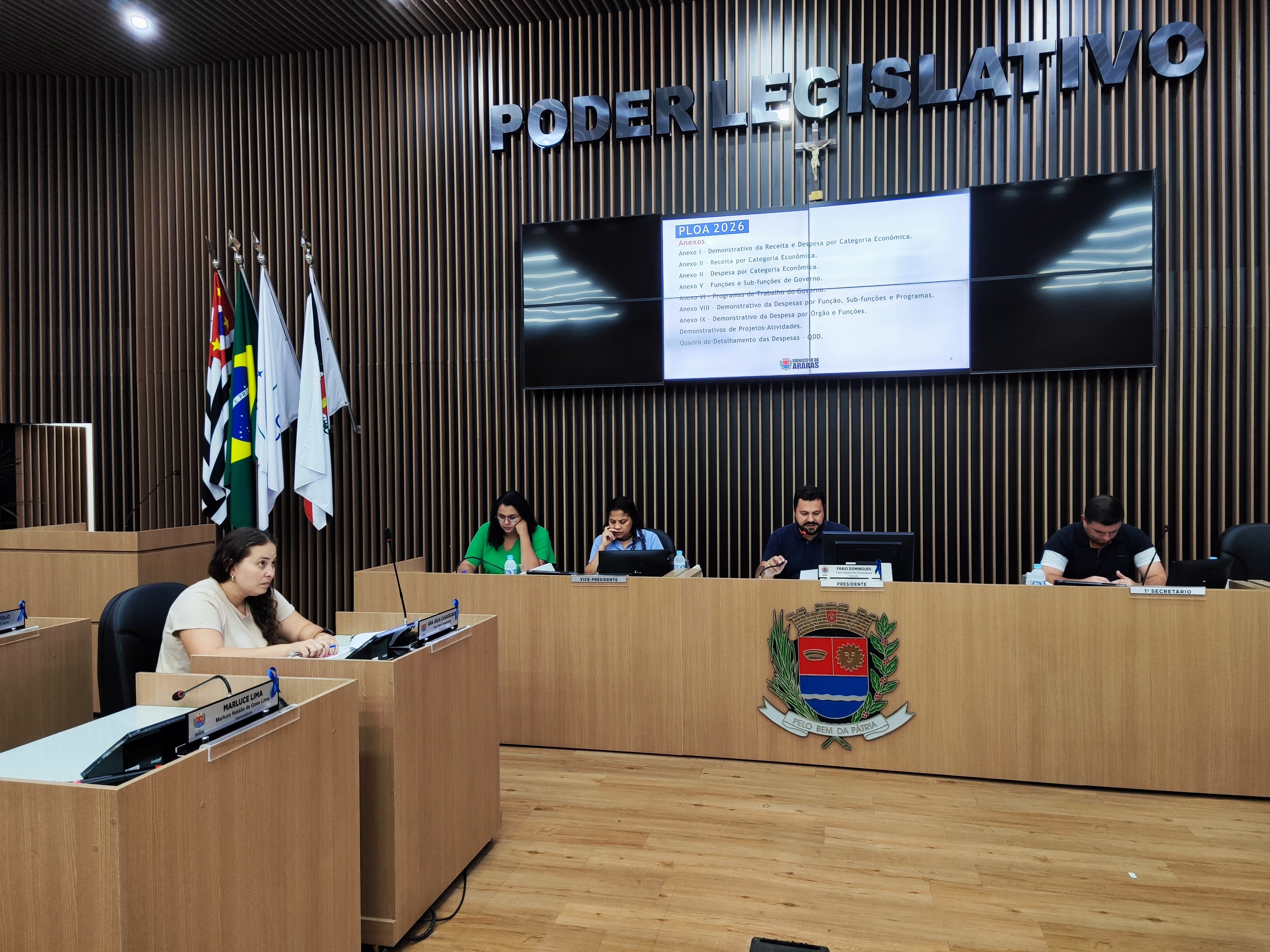 Visualize fotos 04/11/2025 Audiência Pública Lei Orçamentária Anual
